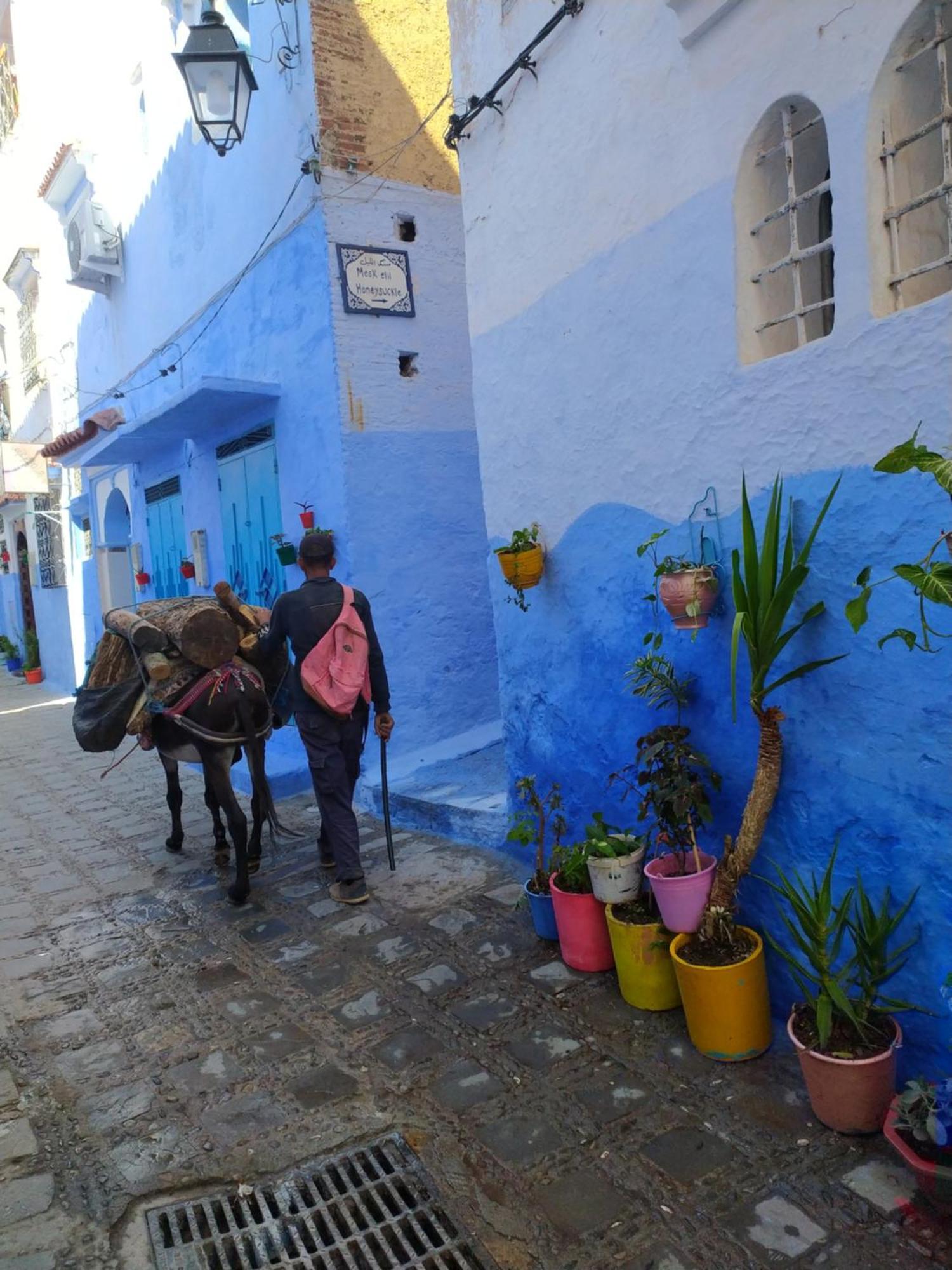 Honey Suckle Hotel Chefchaouen Exterior photo